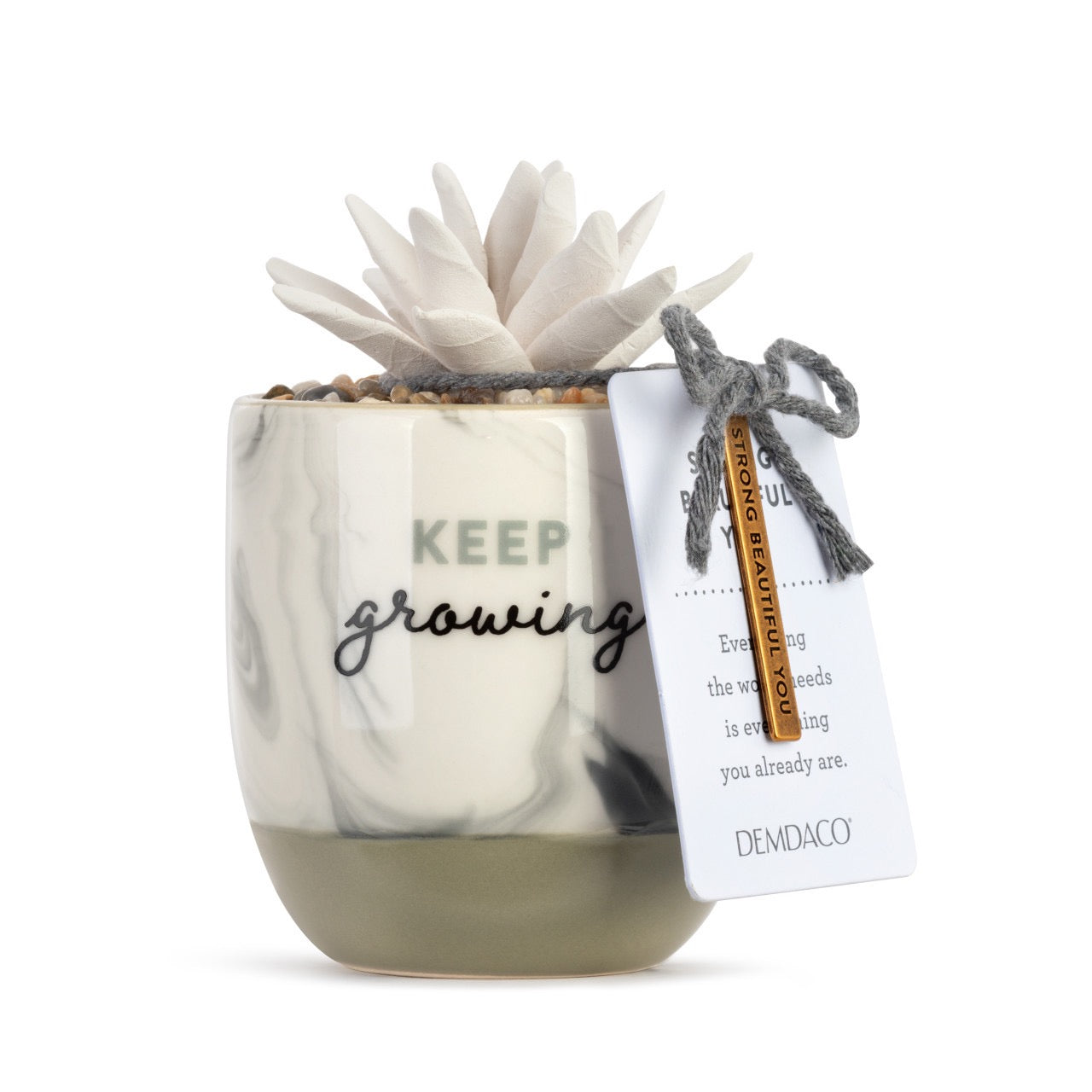 Succulent Oil Diffuser