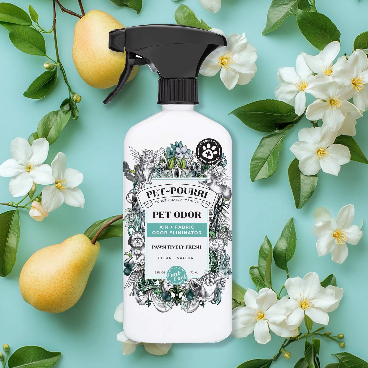 Pawsitively Fresh Room Spray