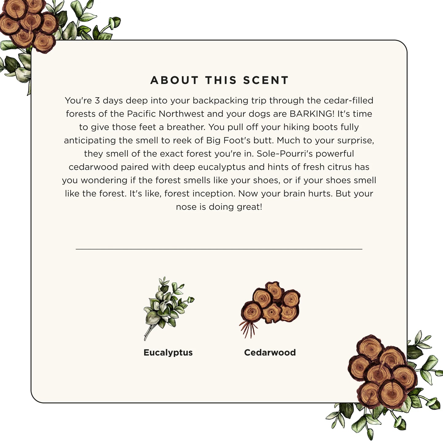 Cedarwood Eucalyptus - Sole-Pourri