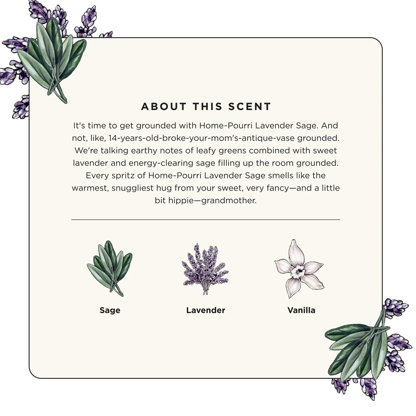 Lavender + Sage - Home Pourri