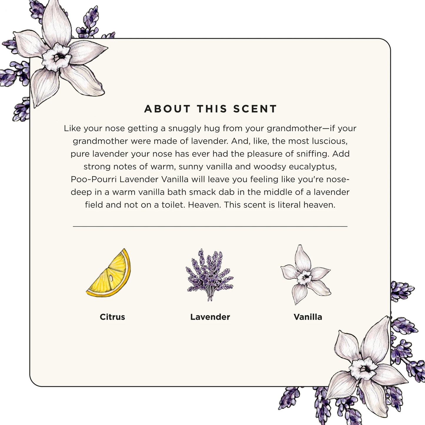 Lavender Vanilla