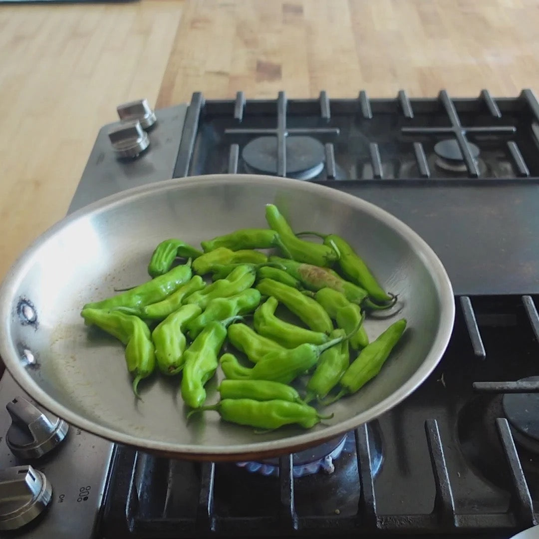 12" Fry Pan